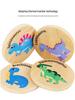 Dinosaur Match Game: Children's Early Education Puzzle for Concentration and Memory Training