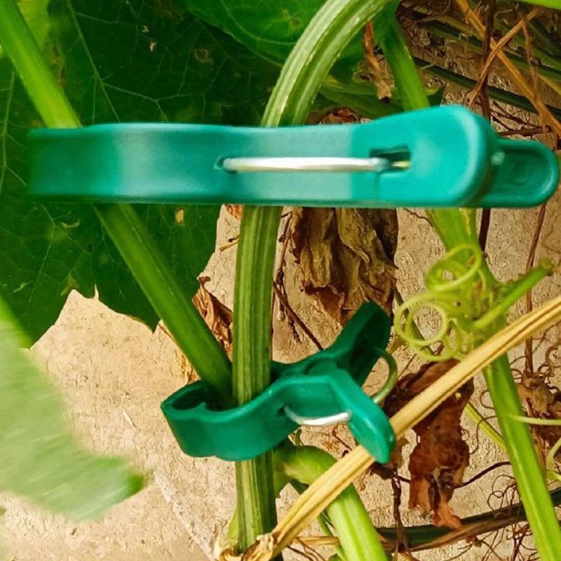 10-100Pcs Plant Fixed Clips Reusable Garden Greenhouse Clamp Bracket for Fixed Plants Vine Flower Seedling Stem Support Tools