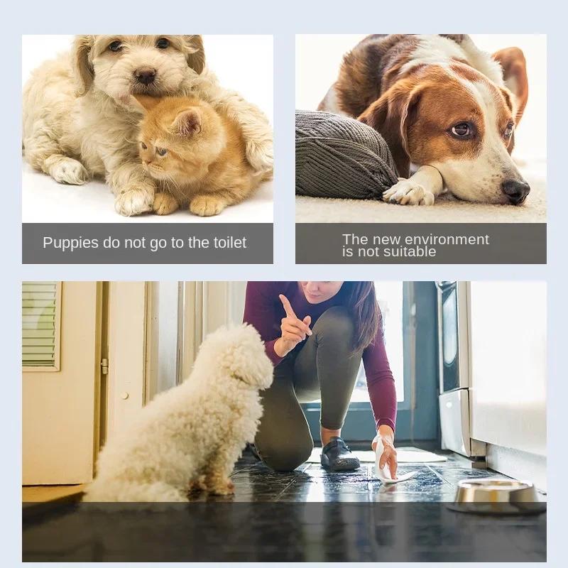 Positioning Pet Toilet Training Spray, Effective Defecation Induction for Dogs Pet Items Dog