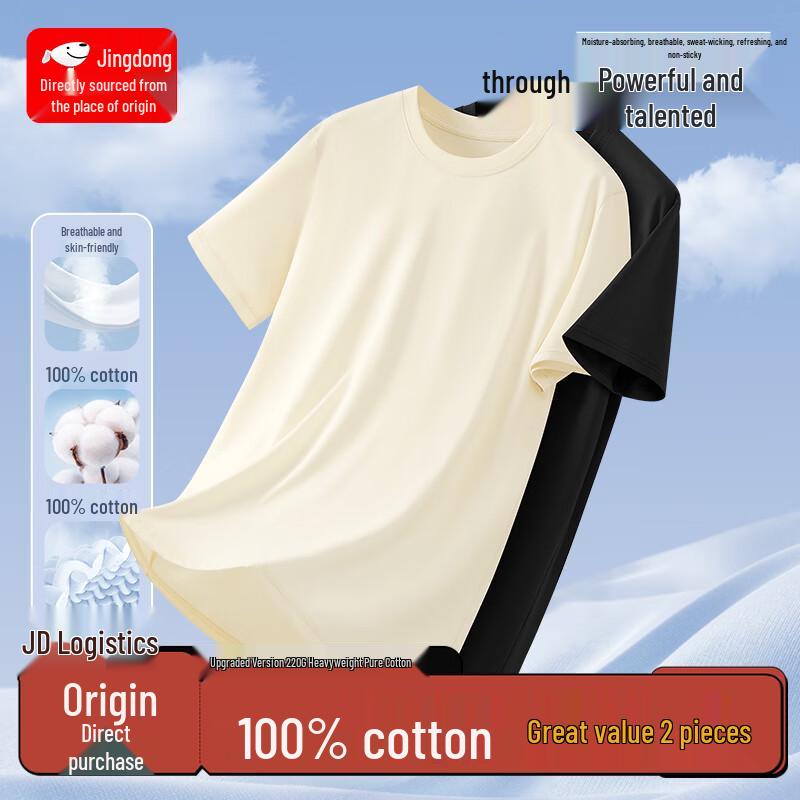 Men's Heavyweight Cotton Round Neck T-Shirt (2-Pack)