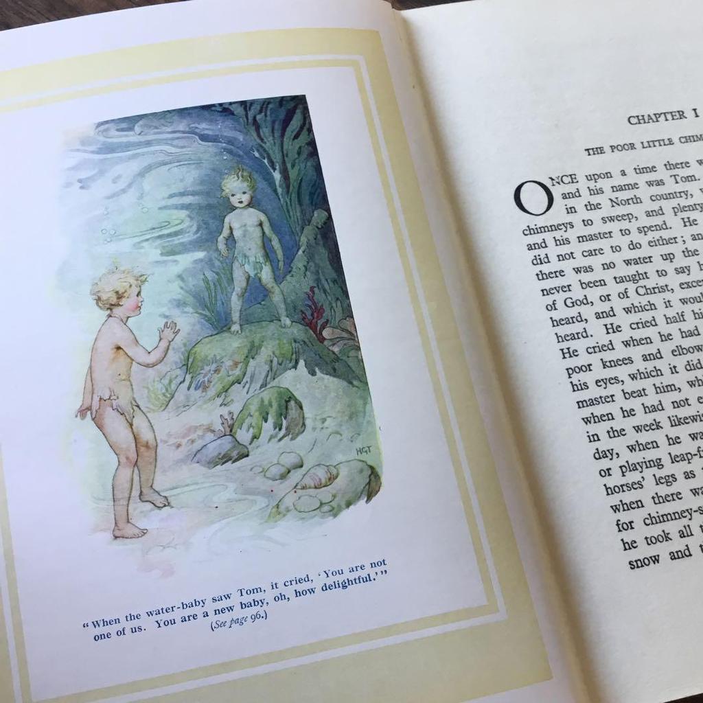 [USED] Western books, old picture books, THE WATER-BABIES, children's books