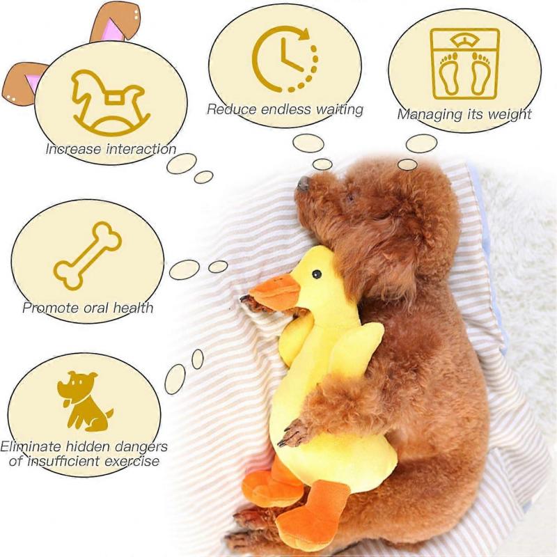 Jucărie Scârțâitoare pentru Câini, Jucărie de Pluș Durabilă pentru Măcinat, Companie pentru Câini, Jucărie Interactivă de Antrenament pentru Câini de Talie Mică și Medie (Rață)