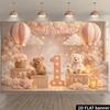 2D Plane 1st Birthday Party Banner Background Fabric - Pink Hot Air Balloon Bear themeDJH