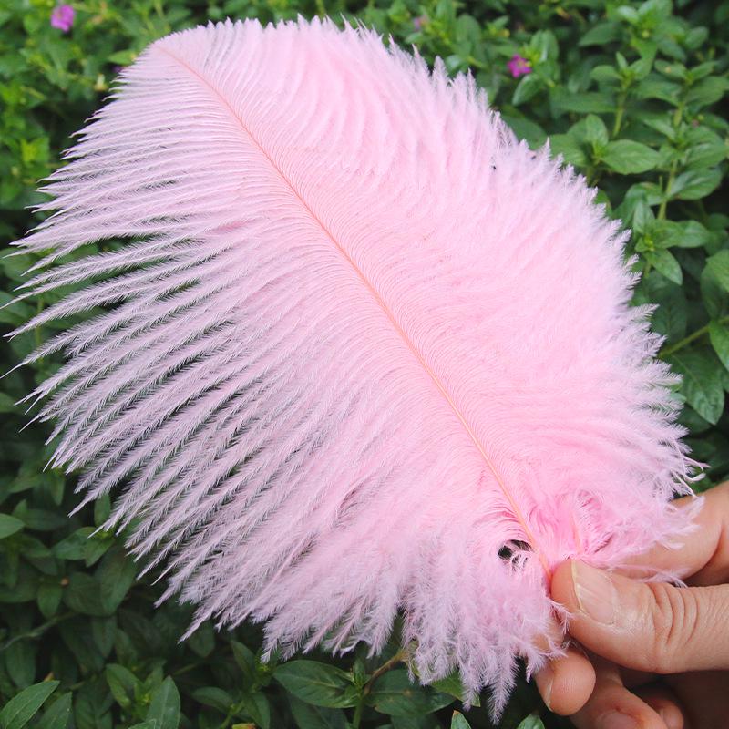 Large 15-20cm Ostrich Feathers for Wedding Arrangements and Stage Props