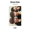 Stray Kids Ich bin KEINE offizielle Fotokarte