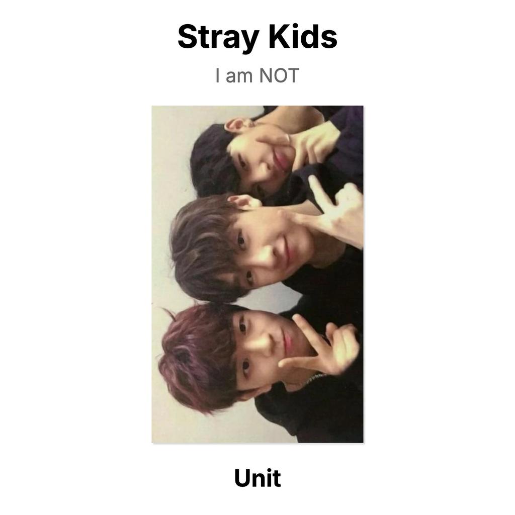 Stray Kids Ich bin KEINE offizielle Fotokarte