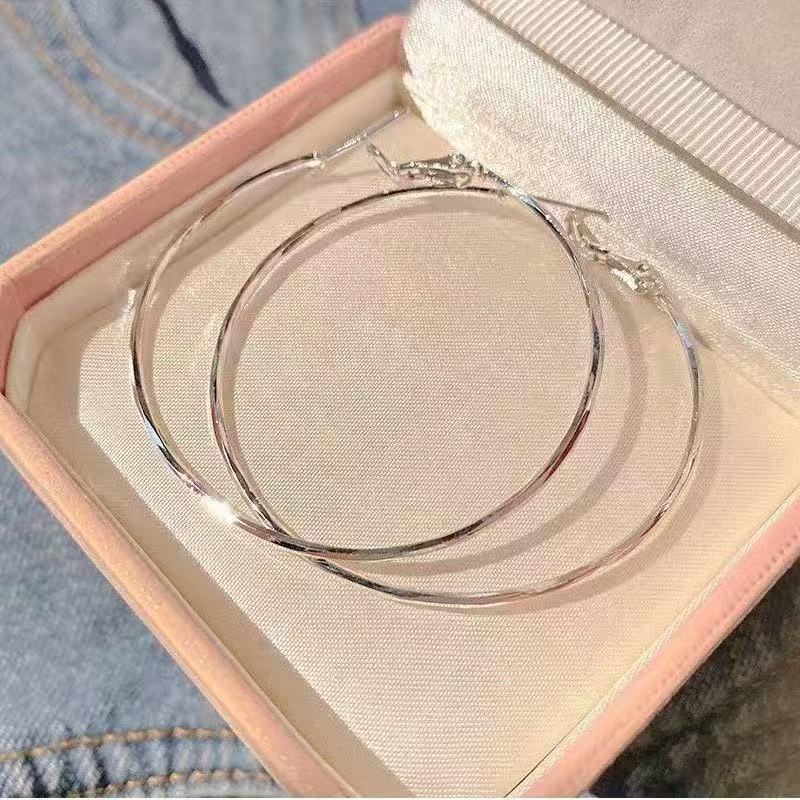 2025 High-End Women s Large Hoop Earrings: Light Luxury, Simple Yet Elegant Style