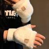 Open Finger Flip Gloves, Plush Gloves, Female, Winter, Cute, Warm, Cold Proof, Writing and Cycling, Thick Touch Screen Gloves, Couple Style