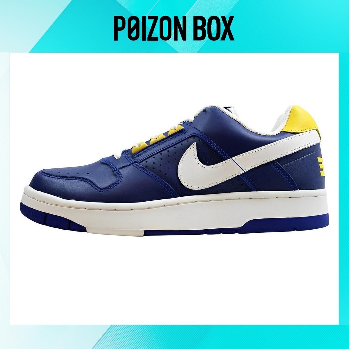 

кроссовки Nike SB Delta Skateboarding Shoes Women 308985-411
