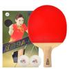 Double Fish Table Tennis Racket Series