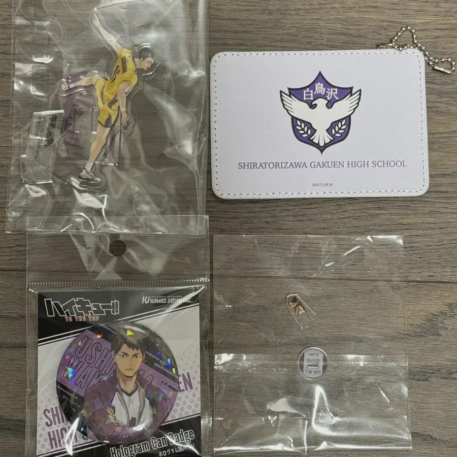 

Миниатюрная акриловая хроника Haikyu Ushijima Mini High School Pass Pack