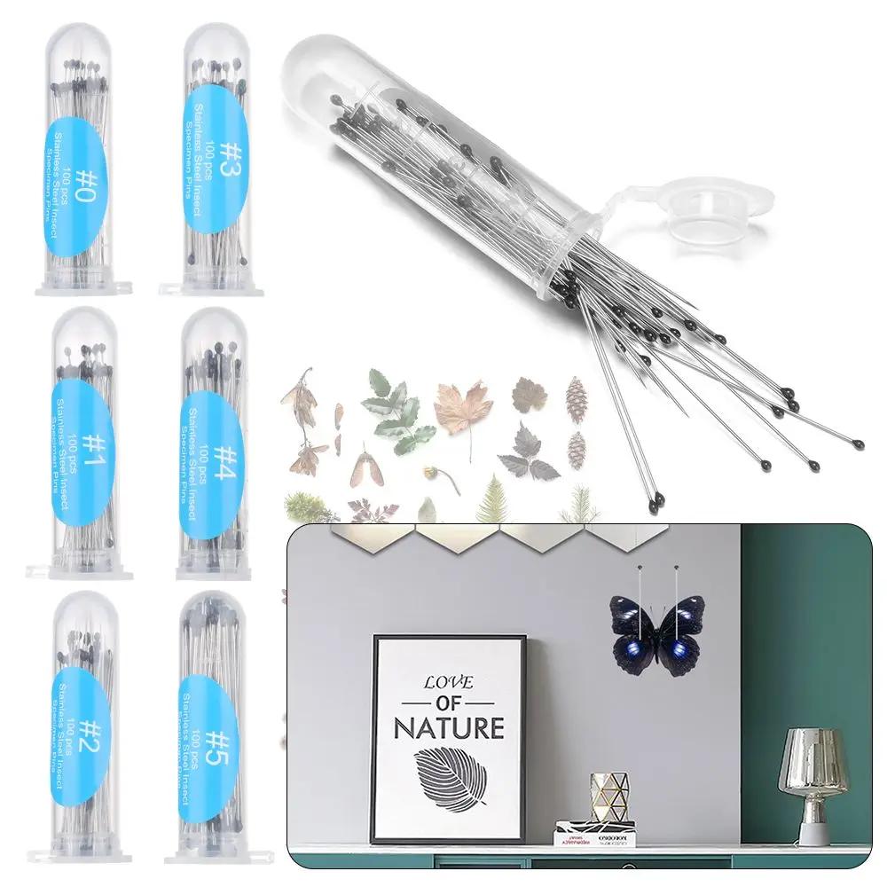 100Pcs High Hardness Entomology Lab Accessories Specimen Pins Insect Dissections Supplies Pin Needle