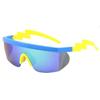 Euro-American Sports Sunglasses: Lightning Legs for Cycling, Running, Climbing, and Outdoors
