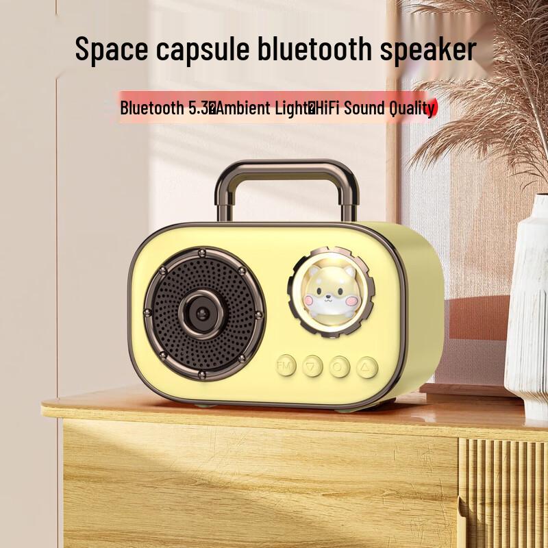 Space Capsule Portable Bluetooth Speaker DZ-006
