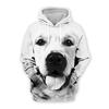 Men's Animal Dog Animal Patterned Graphic Prints Hoodie Hoodies Sweatshirt Cute Streetwear Designer