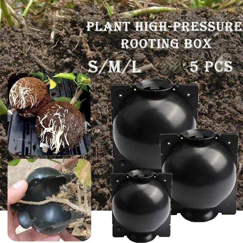 10er-Pack Veredelungsboxen für den Gartenbau, transparente Bewurzelungsstreifen, Stecklingsvermehrungswerkzeug für Obstbäume und Blumen.