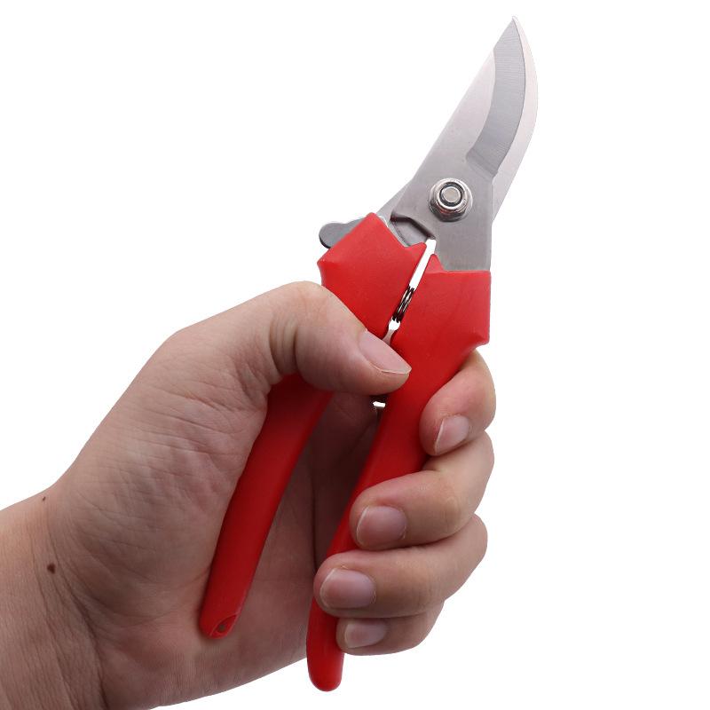 Stainless Steel Beak Garden Pruning Shears Fruit Shears Fruit Tree Gardening Branch Shears Fruit Picking