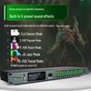 Professional Karaoke Stage & Home Audio Processor with Preamp, Anti-Howl, Equalizer, and Reverb Effects