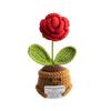 Homemade Crocheted Plant Pots Creative Knitted Pots Cute Positive Encouragement Pots