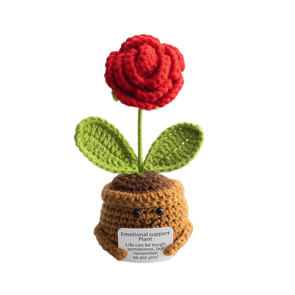 Homemade Crocheted Plant Pots Creative Knitted Pots Cute Positive Encouragement Pots
