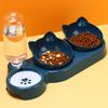 Pet Bowls with Water Feeder, 3 In 1 Ear Design Tilted Cat Water and Food Bowl Set with Gravity Water Bottle for Neck Protection