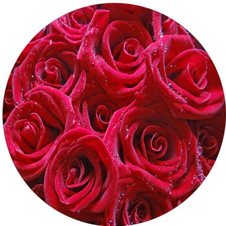 

Круглый 3D-печатный ковер, напольный коврик, гостиная, спальня, постельное белье, ковер, напольный коврик Diameter 100cm