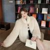 Autumn and Winter New Imitation Fox Fur Coat Fashionable Light Temperament Warm Thickened Coat