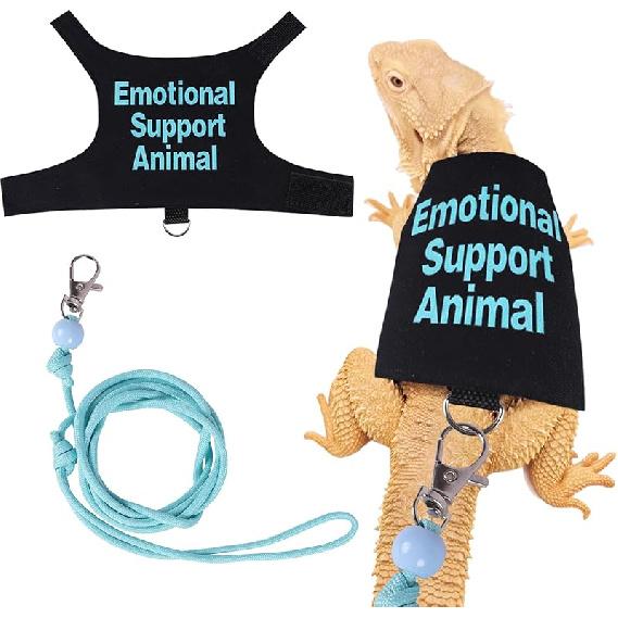 Bearded Dragon Harness and Leash Set Adjustable Reptile Lizard Leash Rope Vest Clothes Starter Kit Accessories for Small Animal Outdoor Walking