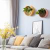 Nordic Wall-Mounted Round Pothos Planter: Creative Green Plant Decor & Fish Tank for Living Room