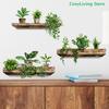Removable DIY Wall Art Creative Wall Stickers Potted Plant Decals Self-adhesive Wall Mural Home Decoration Accessories