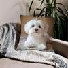 45X45Cm Adorable Maltese Dog Pillow Cover Cushion Pillowcase Modern Style Durable Soft Polyester Home Decor, Bedroom Accessory