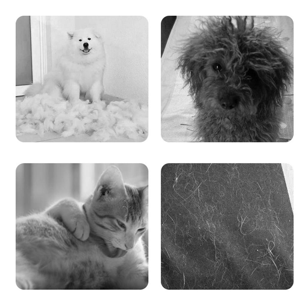 Pet Hair Brush Supplies Cats/Dog Removing Short Hair Grooming Detangler Comfort Massaging Hair Removal Massage Comb