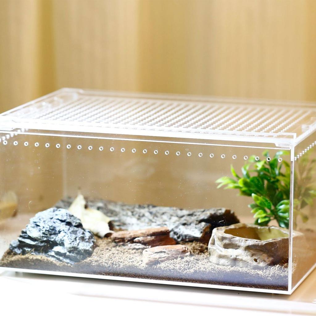 Acrylic Reptile Cage Breeding Box Terrarium Clear Feeding Habitat for Snake Small Pet Isopods Lizards Roaches Insect