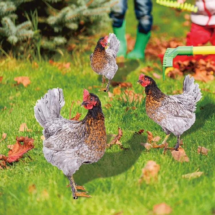 Chicken Garden Stakes Ornaments Garden Insert Yard Lawn Decoration Yard Signs