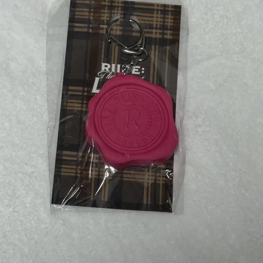 

Wonbin Voice Key Ring