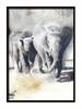 Picture Poster In a Frame 33x43 Cm Elephants P559