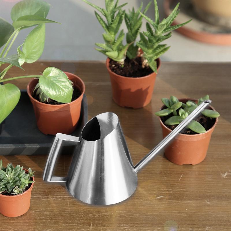 Stainless Steel Long Spout Watering Can for Indoor Plants