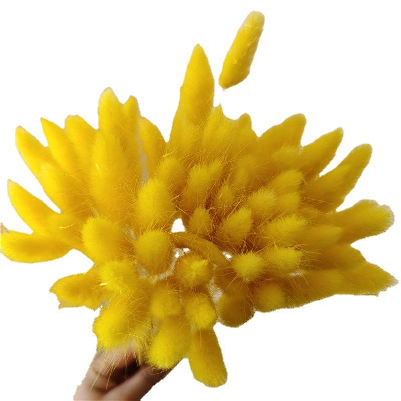 Yunnan Dried Flowers Bouquet - Rabbit Tail Grass