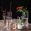 High Borosilicate Glass Hydroponic Vase & Desktop Planter - Straight Tube Design for Artistic Arrangements and Moss Ecosystem