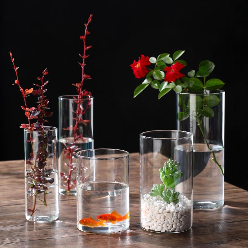 High Borosilicate Glass Hydroponic Vase & Desktop Planter - Straight Tube Design for Artistic Arrangements and Moss Ecosystem