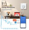 European Standard Smart WiFi Socket with APP Remote, Voice Control, Timer & Power Monitoring