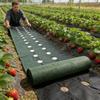 Zelte – Abdeckmaterial