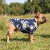 Multi Sizes Dog Hawaiian Shirt Lightweight Pineapple Print Shirt Cat Shirt  Outdoor Walking
