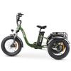 Hidoes HD-ET1 Thricycle Cargo Electric Bicycle 20 INCH Fat Tires 48V20AH Battery 48V20AH Battery 750W Motor Outdoor Riding E-Bike With Rear Frame