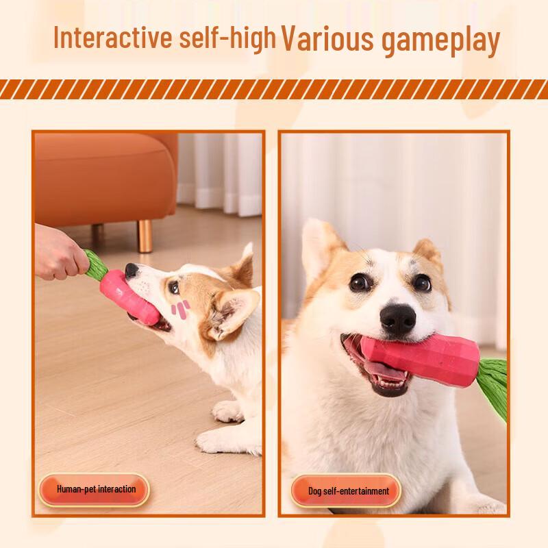 Hoopet Squeaky Carrot Dog Chew Toy