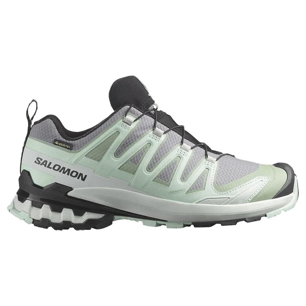 SALOMON XA Pro 3D V9 Goretex Trail Running Shoes