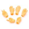 Put On The Plastic Gloves for Playing with And Petting Cats and Massage The Left and Right Little Hands