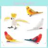 Parrot Figurine Pvc Educational Toy For Children Classroom And Home Use