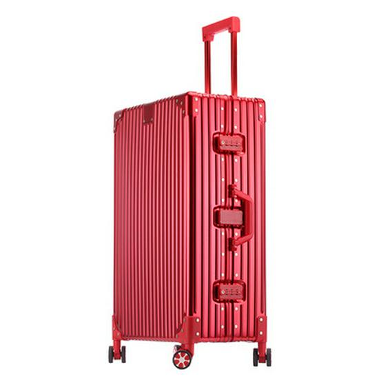 20" Aluminum-Magnesium Alloy Trolley Case - Unisex Metal Travel & Business Suitcase with Leather Accents