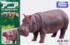 Takara Tomy Animal Dinosaur Realistic Moving Figure Toy for Ages 3 and Meets Toy Safety ST Mark Certified "Ania AS-06 Hippopotamus" Up, Standards,